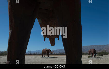 Los Angeles, Los Angeles, USA. 2 mai, 2016. 'Éléphants' soudés en acier sont vus dans le désert de Borrego Springs, Los Angeles, aux États-Unis le 2 mai 2016. Dennis Avery, un philanthrope de la fin de l'Borrego Springs, envisagé l'idée d'ajouter de l'Art 'Sky' pour sa propriété avec des tubes soudés en acier d'origine des sculptures créées par l'artiste Ricardo Breceda basé à Perris, en Californie. En plus d'un 350 mètres de long serpent fantaisiste, les visiteurs peuvent voir plus de 130 sculptures métalliques installés dans le désert de l'Borrego Springs. © Yang Lei/Xinhua/Alamy Live News Banque D'Images