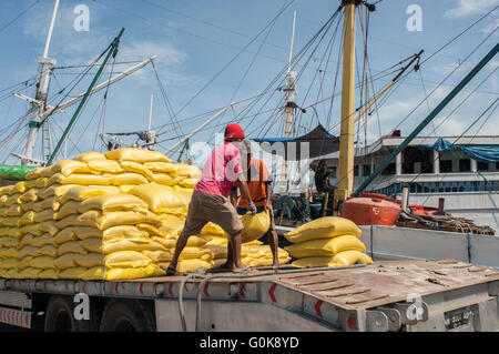 Les travailleurs chargés des sacs de ciment dans la coque d'un bateau au port de Paotere à Makassar, Indonésie. Banque D'Images