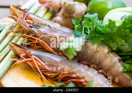 Ingrédients pour la soupe tom yam Thai Banque D'Images