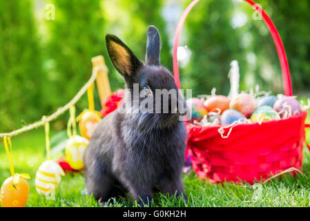 Panier de Pâques avec les œufs décorés et le lapin de Pâques dans l'herbe Banque D'Images