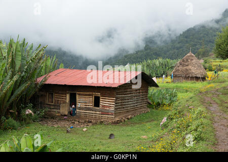 Gibi Gurage village, l'Éthiopie, octobre 2013 paysage du village avec Biteyu forêt naturelle en arrière-plan. Banque D'Images