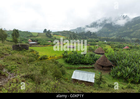 Gibi Gurage village, l'Éthiopie, octobre 2013 paysage du village avec Biteyu forêt naturelle en arrière-plan. Banque D'Images