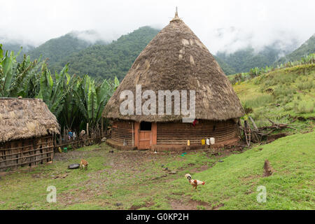 Gibi Gurage village, l'Éthiopie, octobre 2013 paysage du village avec Biteyu forêt naturelle en arrière-plan. Banque D'Images