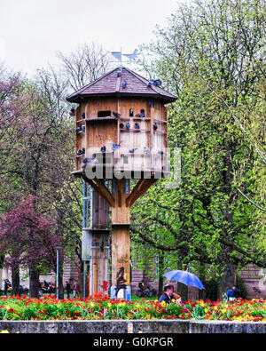 Stuttgart Stadtgarten, Garden City, le nichoir d'oiseaux en bois et de la colombe-cote accueil pour les pigeons dans un parc public Banque D'Images