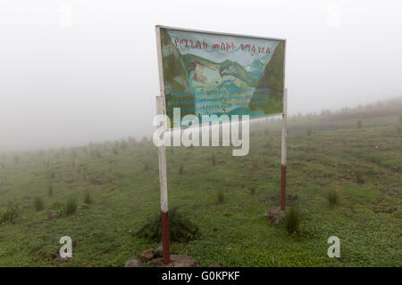 Fenêtre du Melenik, près de Debre Sina, l'Éthiopie, octobre 2013. Les promenades le long de la route, la zone est entourée de brouillard tôt le matin. Banque D'Images