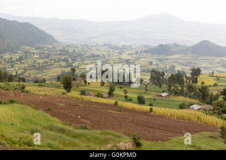 Wofwasha Kebele, Nord Shewa, Éthiopie, 2013 : un village de terres agricoles, et en terrasse mal montrant des signes d'érosion. Banque D'Images