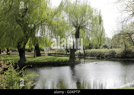 La rivière Bourne Lincolnshire UK - arbres - Banque D'Images