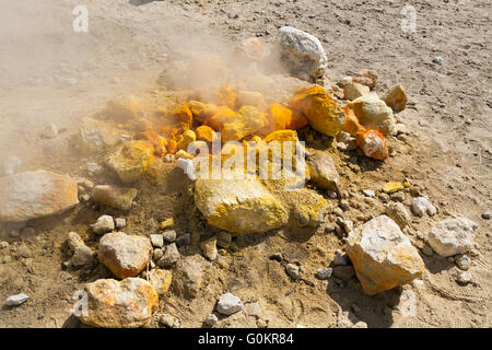 Volcan Solfatara. La vapeur et passer de vapeurs sulfureuses fumerole / fumeroles. Pozzuoli nr Naples Italie Campi Flegrei zone volcanique ; Banque D'Images