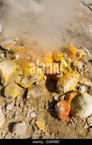 Volcan Solfatara. La vapeur et passer de vapeurs sulfureuses fumerole / fumeroles. Pozzuoli nr Naples Italie Campi Flegrei zone volcanique ; Banque D'Images