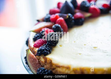 Délicieux gâteau au fromage frais fait maison Banque D'Images