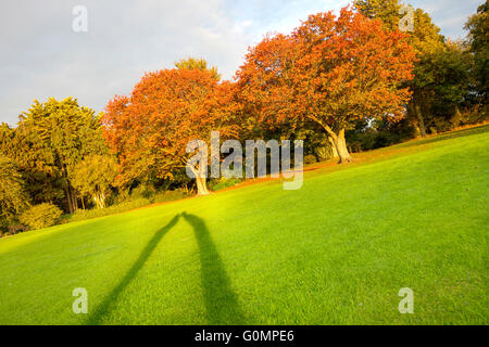 Ombre couple dans un paysage d'automne Banque D'Images