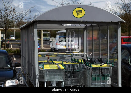 À chariots de supermarché Morrisons à Darlington, County Durham, England, UK. Banque D'Images