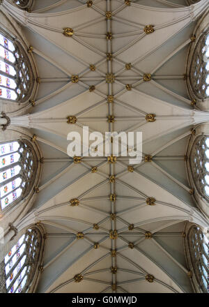 Salle voûtée plafond orné de York Minster décoré de vitraux Banque D'Images