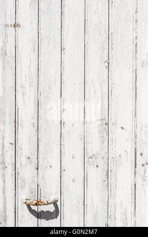 Porte en bois blanc patiné avec un bouton de métal rouillé et peinture blanche écaillée et peeling. Banque D'Images