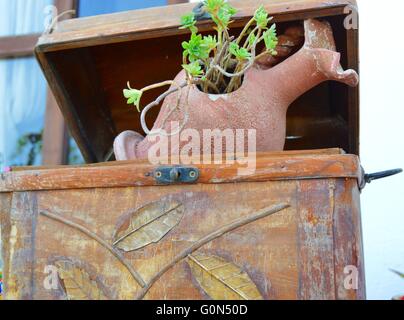 Amphore en terre cuite servant de cache-pot reste sur un coffre en bois avec des feuilles comme accompagnement. Banque D'Images
