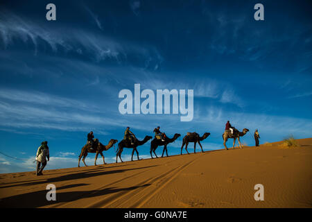 Caravane de chameaux de touristes dans les dunes de sable de l'Erg Chebbi Banque D'Images