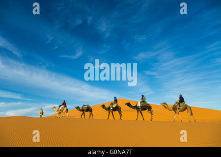 Caravane de chameaux de touristes dans les dunes de sable de l'Erg Chebbi Banque D'Images