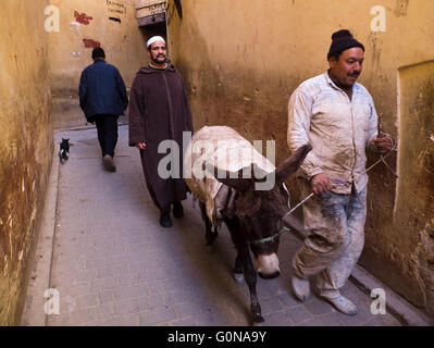 Les gens et de l'âne dans la Médina de Fes Banque D'Images