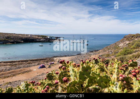 Les bateaux de plaisance portant sur les touristes des excursions moor dans la baie au large de la plage village portuaire de El Puertito de Adeje, Tenerife, Banque D'Images