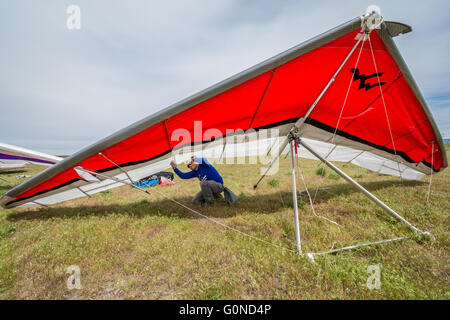 Diego Calderoni faisant configuration pré-vol et les chèques Banque D'Images