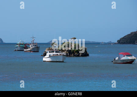 La Nouvelle Zélande, l'île Stewart, Oban, Halfmoon Bay. Bateaux de pêche dans le port. Banque D'Images