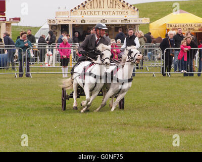 Un concurrent est en concurrence dans la course au championnat se précipitent et Rural station show à Southsea, Portsmouth. Banque D'Images