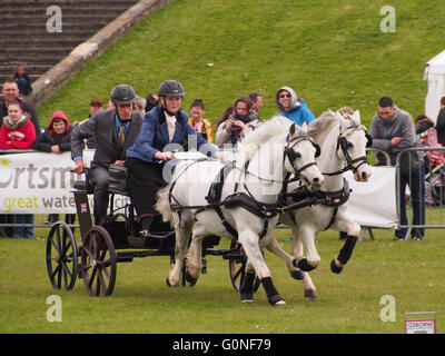 Un concurrent est en concurrence dans la course au championnat se précipitent et Rural station show à Southsea, Portsmouth. Banque D'Images