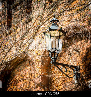 Ancienne lampe et historique en République tchèque Hradec NAD Moravici château Banque D'Images