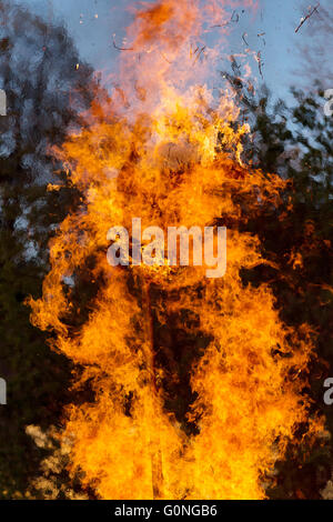 Nuit de Walpurgis, la religion festival Chrétien, la combustion du bois de feu, brûler les sorcières sur jeu traditionnel avec d'immenses flammes Banque D'Images