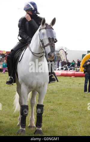 Cheval et cavalier de la police en tenue anti-émeute complète Banque D'Images