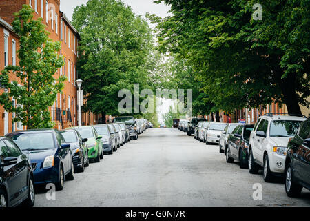 Une rue bordée d'arbres de Federal Hill, Baltimore, Maryland. Banque D'Images