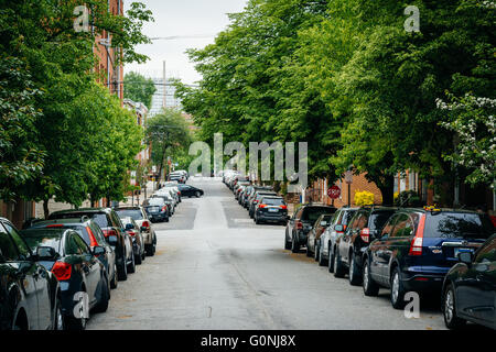 Une rue bordée d'arbres de Federal Hill, Baltimore, Maryland. Banque D'Images