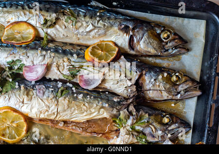 Excellent poisson bleu frais pour une alimentation saine fraîchement cuisinés avec de l'huile d'olive, citron et herbes Banque D'Images