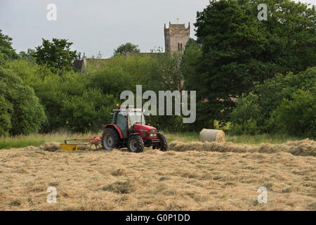 Ensilage - tracteur agricole rouge tirant un râteau de rotor travaillant dans un champ à grande Ouseburn, North Yorkshire, Angleterre. Banque D'Images