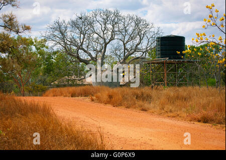 Un chemin de terre conduit à une très grande Boab tree à côté d'une tour de l'eau dans l'outback australien. Banque D'Images