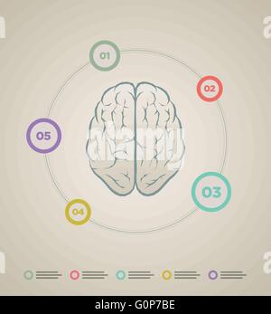 Cerveau vecteur modèle infographique. Les éléments sont séparément en couches en fichier vectoriel. Illustration de Vecteur