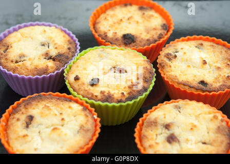 Le fromage cottage syrniki, comme au four cupcakes ou muffins muffins colorés, dans cups sur le four-tray libre. Banque D'Images