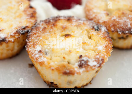 Le fromage cottage syrniki, comme au four cupcakes ou muffins, servi avec du yogourt et fraises à la plaque blanche libre. Banque D'Images