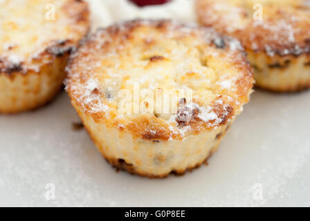 Le fromage cottage syrniki, comme au four cupcakes ou muffins, servi avec du yogourt et fraises à la plaque blanche libre. Banque D'Images