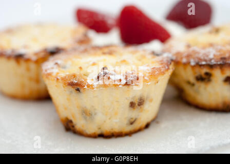 Le fromage cottage syrniki, comme au four cupcakes ou muffins, servi avec du yogourt et fraises à la plaque blanche libre. Banque D'Images