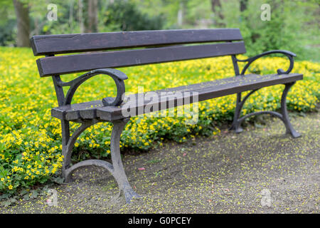 Banc de parc vide et fleurs de printemps jaune Waldsteinia fleurs dans l'arrière-plan Banque D'Images