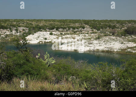 Un bras du lac réservoir Amistad près de Del Rio, Texas. La photo montre un désert de pierre calcaire marbre avec prunellier brosse. Banque D'Images