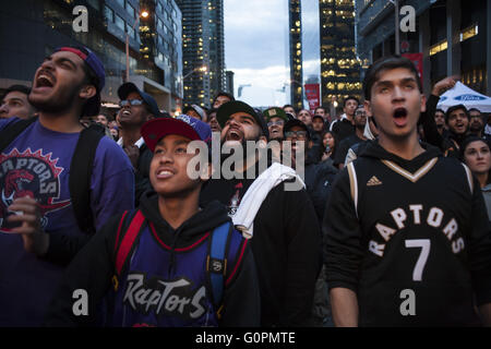 Toronto, Ontario, Canada. 3 mai, 2016. Toronto Raptors fans dans Maple Leag Square pour regarder un match, contre Miami Heat. © João Luiz de Franco/ZUMA/Alamy Fil Live News Banque D'Images