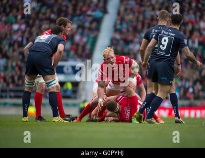 Rencontrez l'armée et de la Marine pour le Trophée Babcock au stade de Twickenham, le 30 avril 2016, le Babcock Services Inter championnat. Banque D'Images