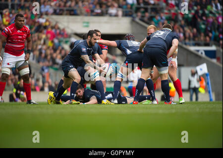 Rencontrez l'armée et de la Marine pour le Trophée Babcock au stade de Twickenham, le 30 avril 2016, le Babcock Services Inter championnat. Banque D'Images