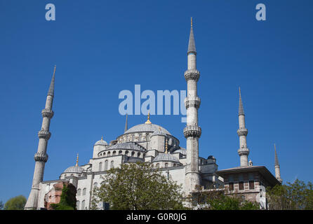 Célèbre "Mosquée bleue" à Istanbul, Turquie Banque D'Images