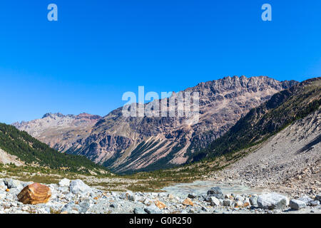 Belle vue sur Alpes Livigno il des Alpes suisses y compris Piz Albris dans la vallée à la fin du glacier Morteratsch, Canton Banque D'Images