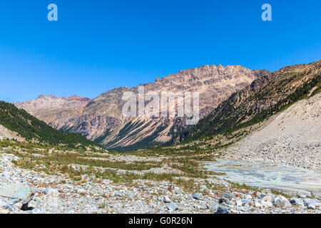 Belle vue sur Alpes Livigno il des Alpes suisses y compris Piz Albris dans la vallée à la fin du glacier Morteratsch, Canton Banque D'Images