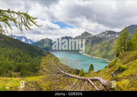 Magnifique vue sur le lac de Ristorante Medici dans le Canton du Tessin en Suisse. Avec un arbre tombé dans l'avant du terrain. Banque D'Images