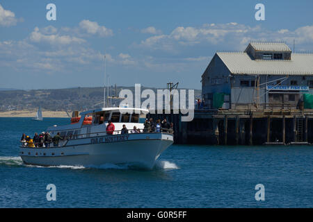 Les touristes sur un bateau d'observation des baleines qui reviennent du quai des pêcheurs et le port de la baie de Monterey, CA Banque D'Images